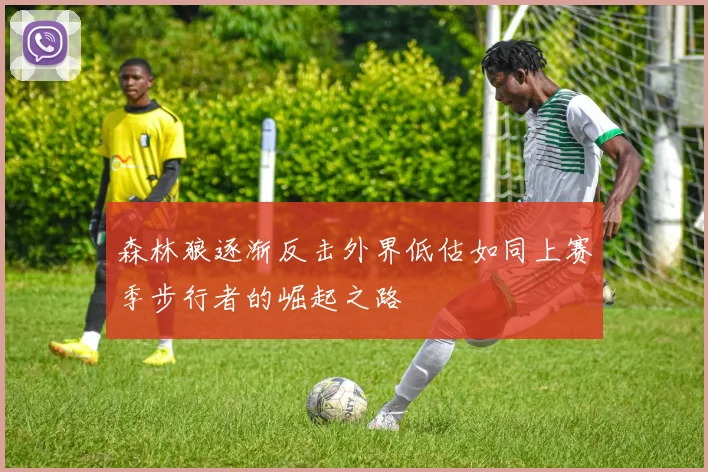森林狼逐渐反击外界低估如同上赛季步行者的崛起之路