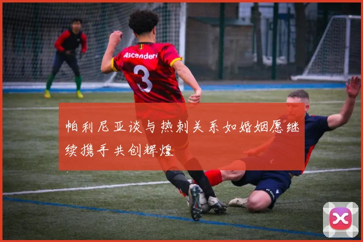 帕利尼亚谈与热刺关系如婚姻愿继续携手共创辉煌