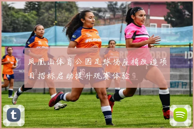 凤凰山体育公园足球场座椅改造项目招标启动提升观赛体验